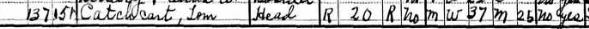 1930s census page 1